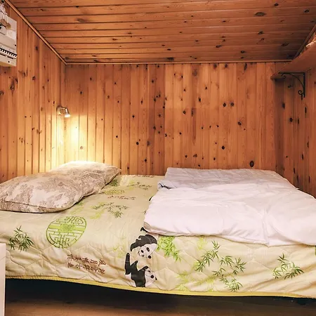 5 Person In Bogo By-by Traum