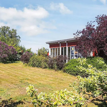 5 Person In Bogo By-by Traum *