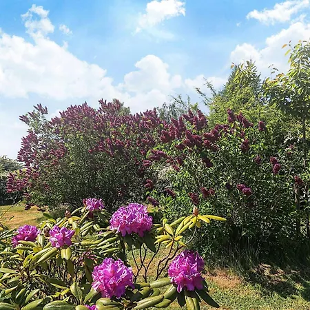 5 Person In Bogo By-by Traum *