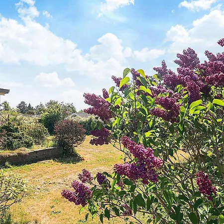 5 Person In Bogo By-by Traum Bogø By