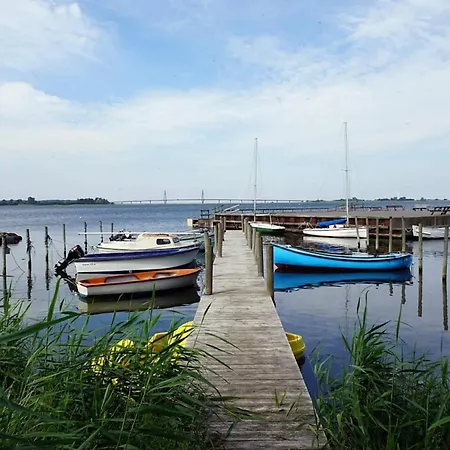 5 Person In Bogo By-by Traum *