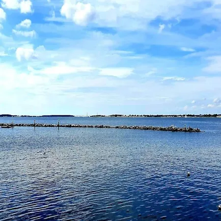 5 Person In Bogo By-by Traum